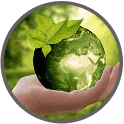 Living Green